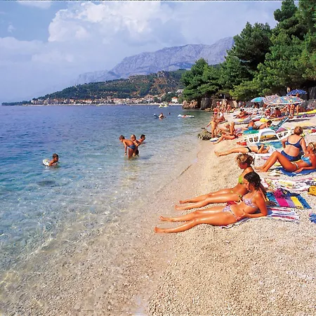 Apartament Boric Darko *