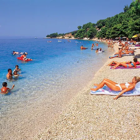 Boric Darko * Podgora (Split-Dalmatia)