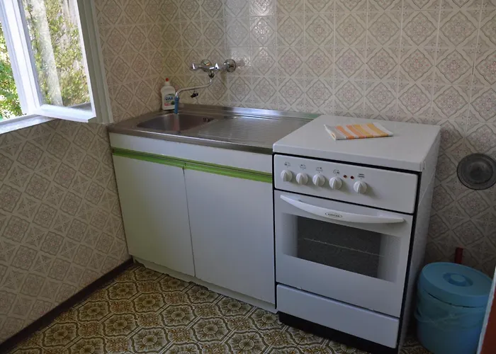 Apartament Boric Darko