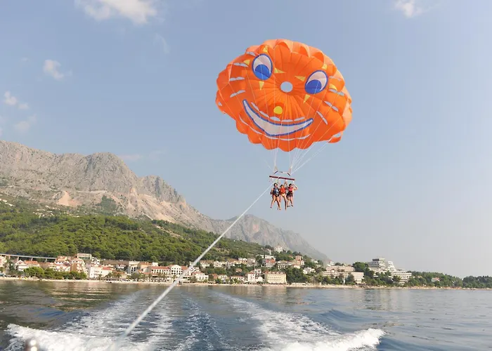 Boric Darko Apartament *