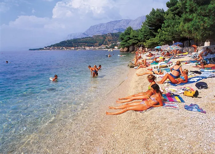 Apartament Boric Darko *